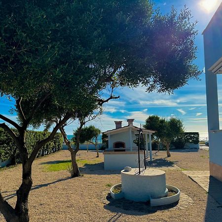 Edo House Anzio - Beachfront - Fronte Mare - Affittacamere Ngoại thất bức ảnh