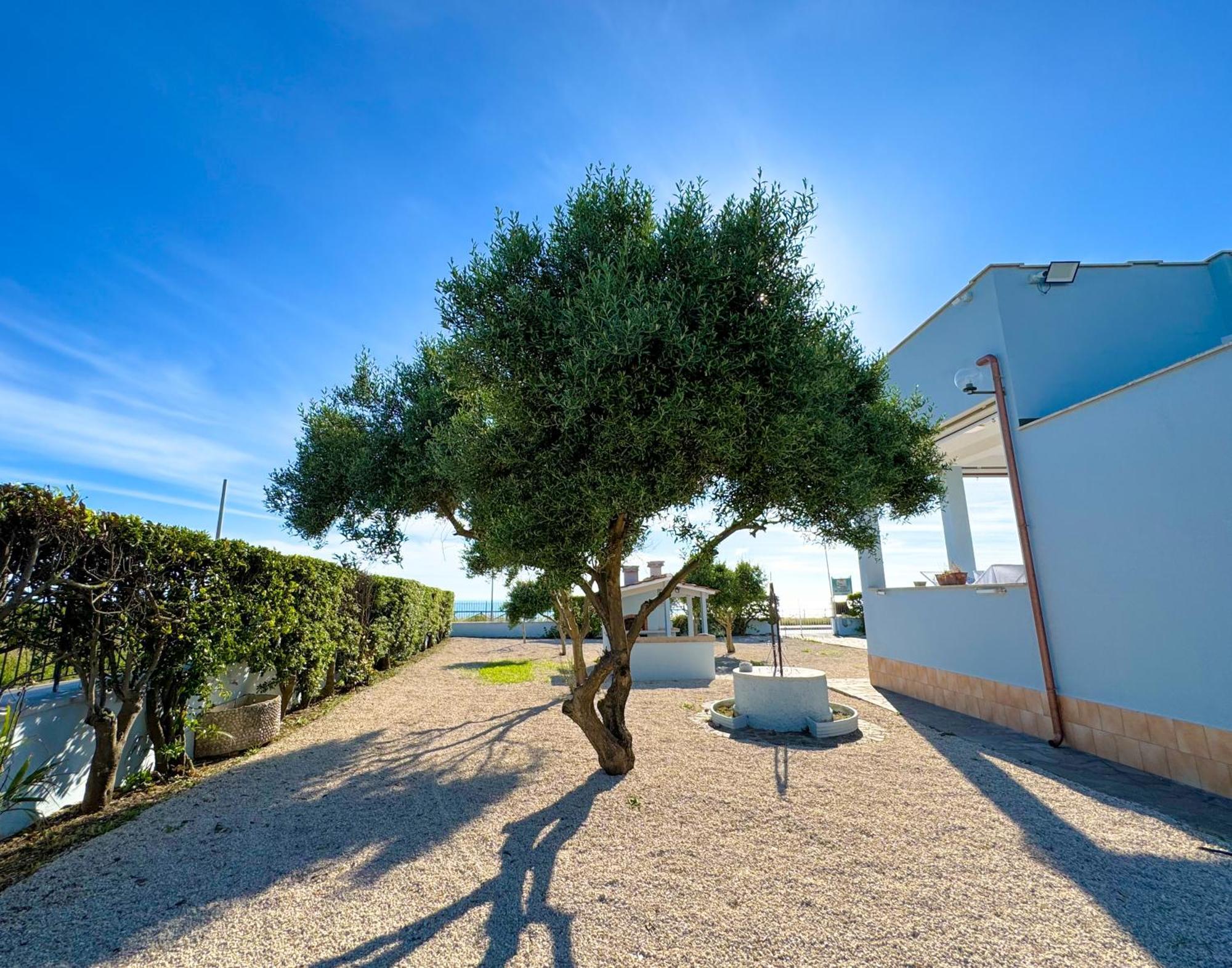 Edo House Anzio - Beachfront - Fronte Mare - Affittacamere Ngoại thất bức ảnh